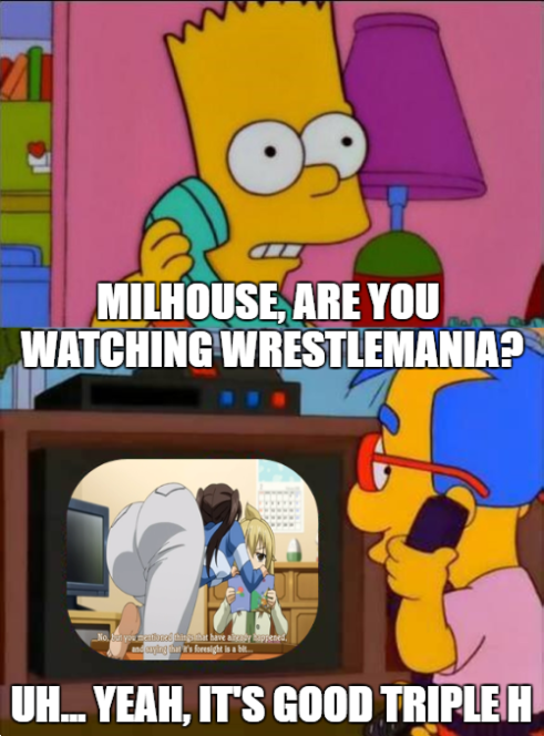 Simpsons wrestling memes tumblr
